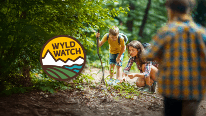 WYLD WATCH