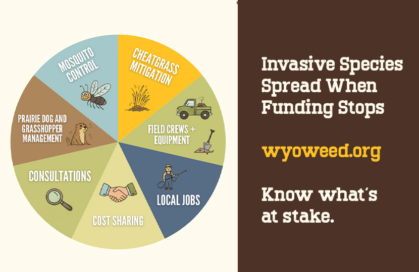 Wyoming Weed and Pest KNow what is at stake