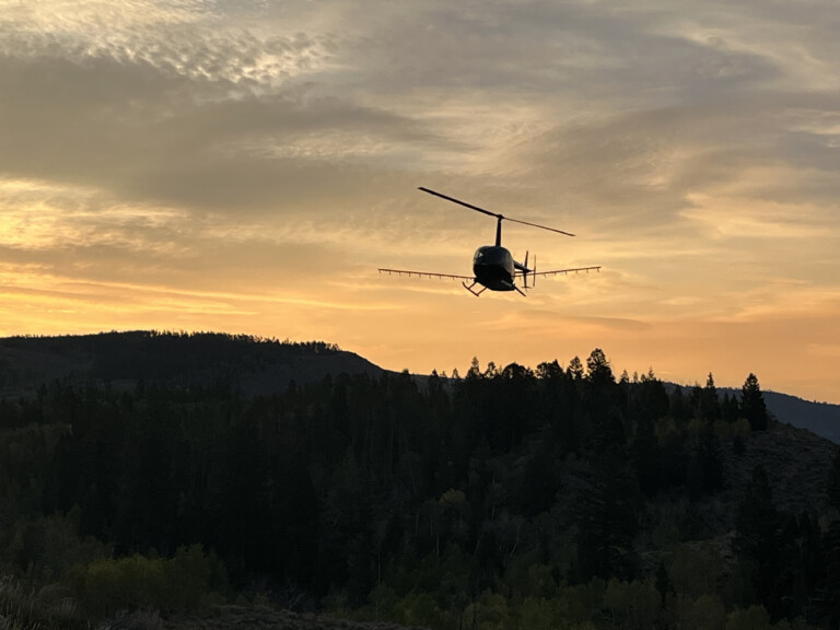 Envu Commits More Than $1 Million in Rejuvra Herbicide to Combat Invasive Annual Grasses