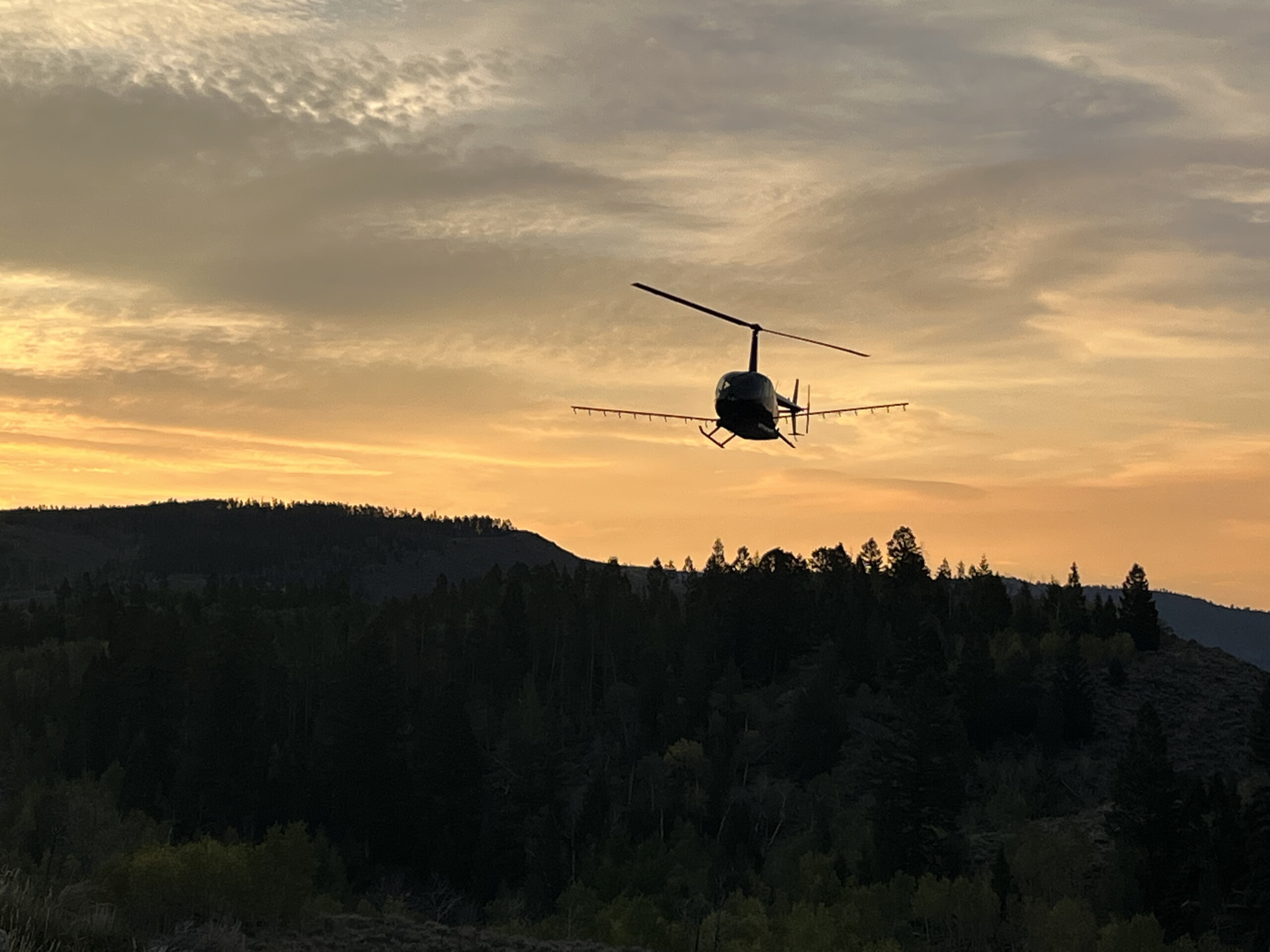 Envu Commits More Than $1 Million in Rejuvra Herbicide to Combat Invasive Annual Grasses